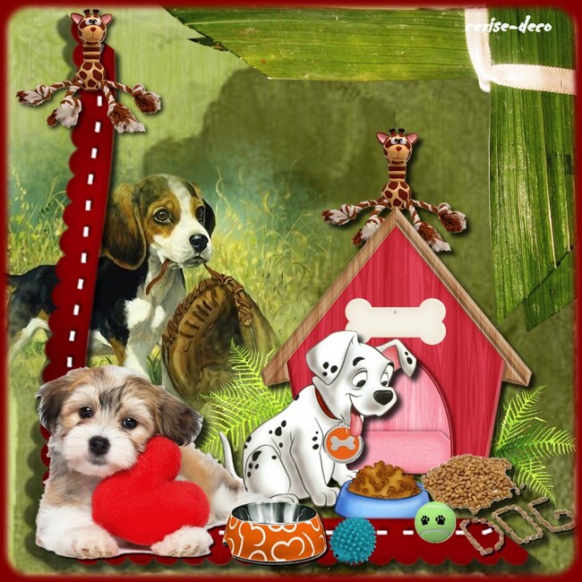 cadeau : cluster chien