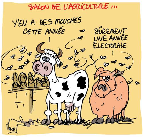 L'   humour  grinçant  du    dimanche