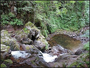 Cantal - 100812 - I01 - Liadouze - cascade