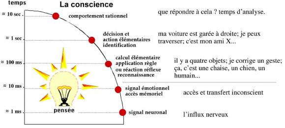 http://lancien.cowblog.fr/images/Cerveau1/tempsreactionreduit.jpg