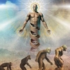 créationnisme et évolutionnisme