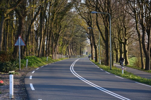 Pays-Bas, Au pays des tulipes - avril 2019