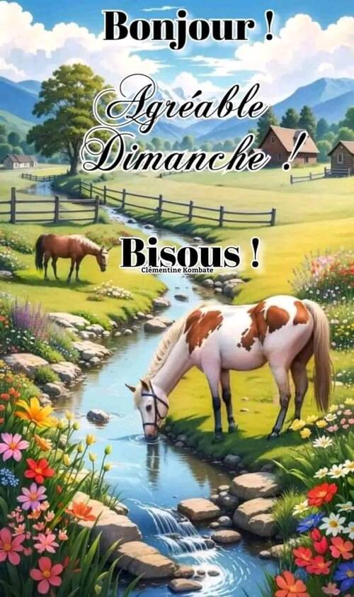 Bon dimanche 