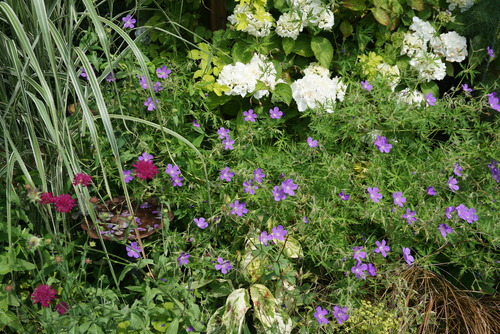 Le jardin naturellement beau de Michèle