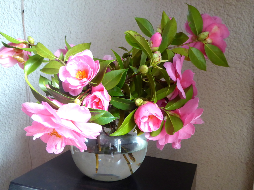 Fleurs en bouquet pour dimanche!