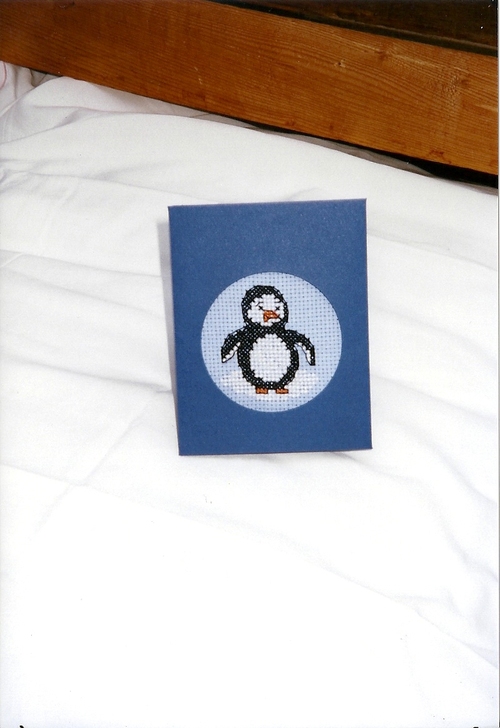 Carte postale pingouin 1