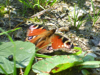 Le Val Bagnard