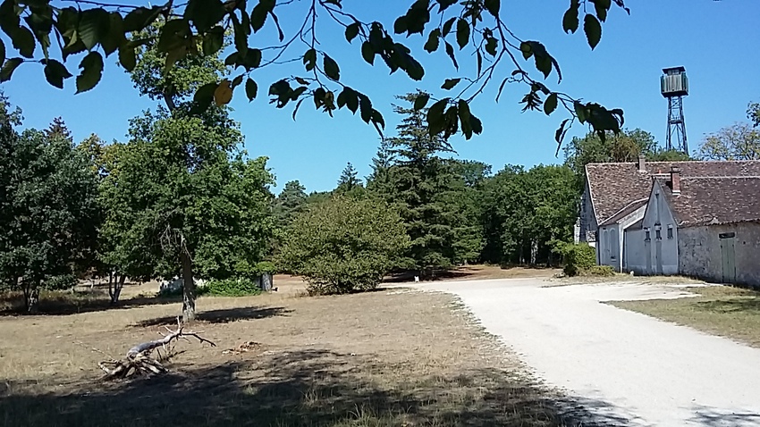 virée en forêt de Fontainebleau - gorges de Franchard