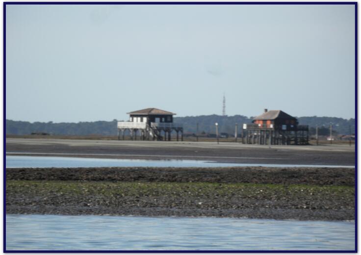 Arcachon - L'île aux oiseaux