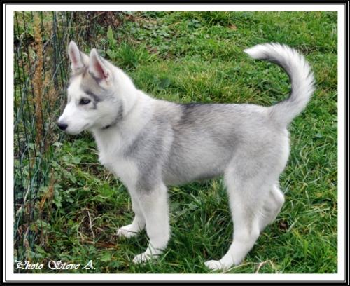 Ilouky (3 mois)