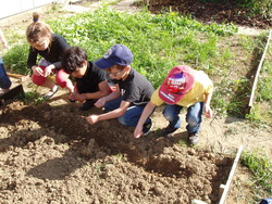 les petits jardiniers