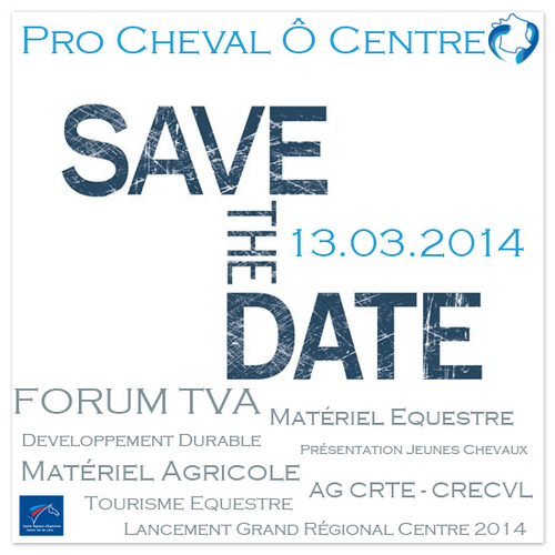 Etrical au Forum Pro Cheval Ô Centre le 13 mars 2014