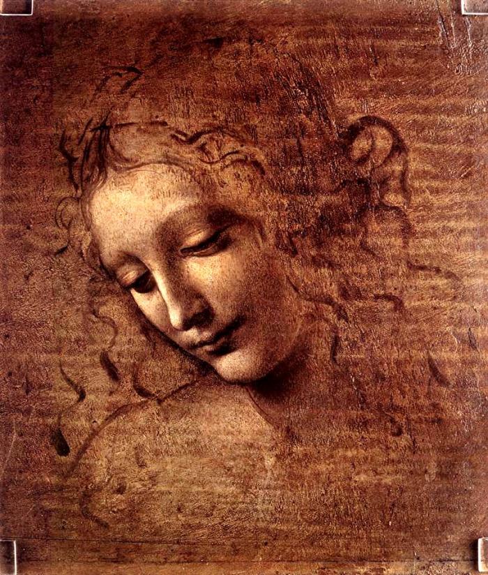 2. Léonard de Vinci /carnet de dessins 2