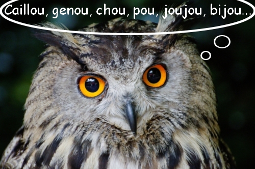 Le hibou (Maurice Carême)