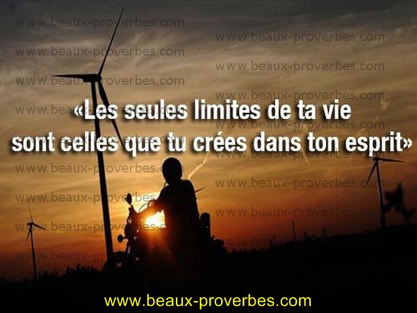 commentaires commentaires