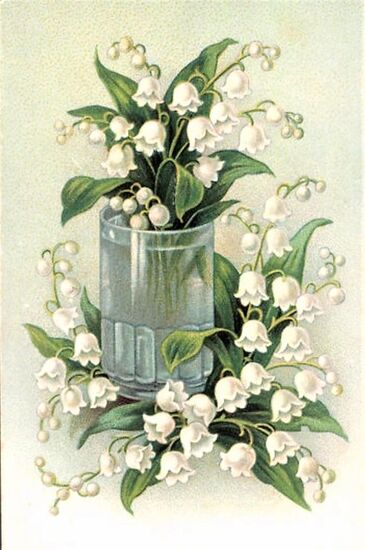 muguet du 1 mai !   2