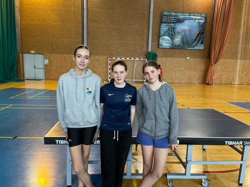 Championnat départemental de tennis de table : pluie de médailles!