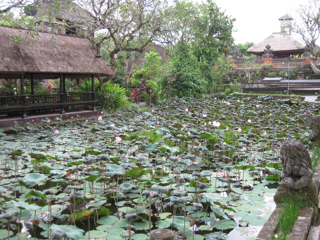 Ubud Bali , spectacle de danse au Lotus Pond 