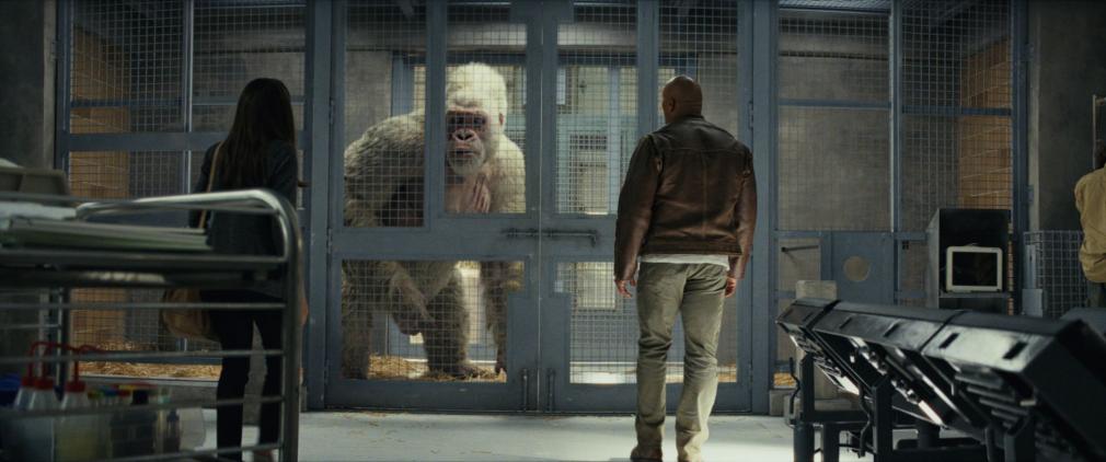 [Test Blu-ray] Rampage : Hors de contrôle