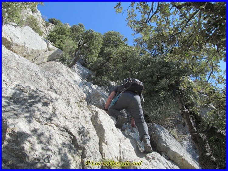 Monts de Gigondas, la dent du Turc