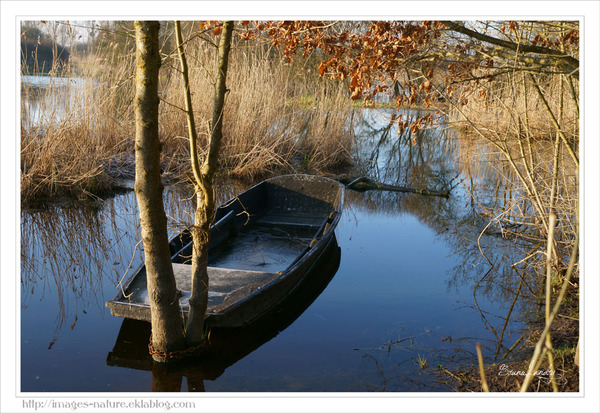 Le marais de  Goulaine