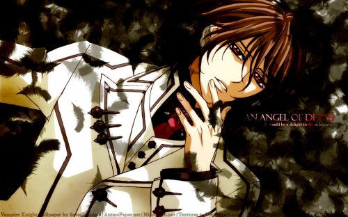 Vampire Knight gallerie