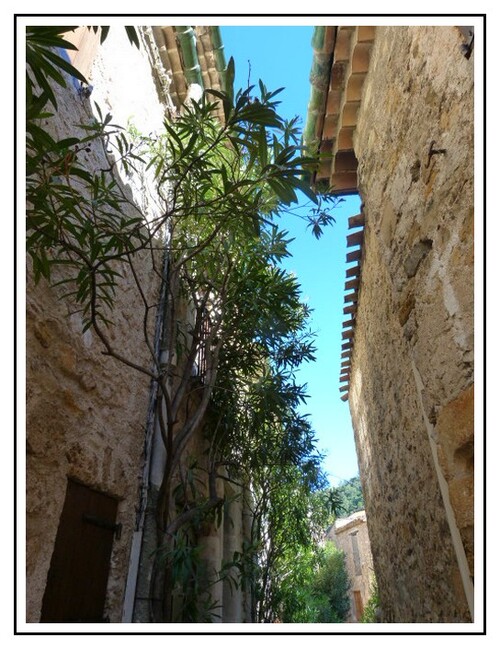 Joyau de l'art Roman : St guilhem le désert 