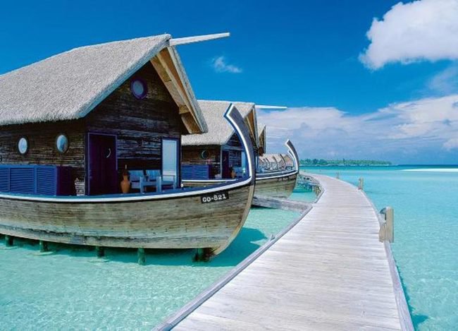 coco island site de rencontre