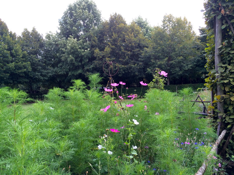 Jardin du Prieuré d'Orsan 3