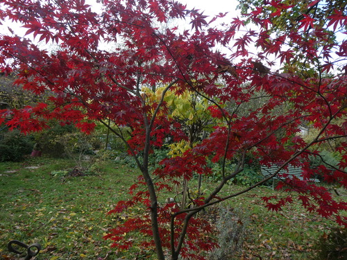 Automne au Big garden