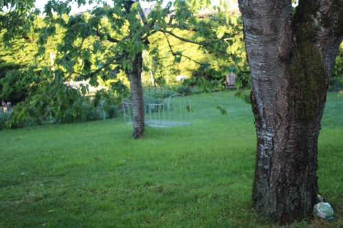 Je le trouve beau mon jardin en cette saison