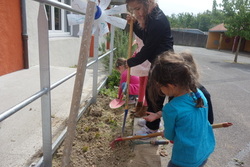 Plantations dans le potager en MS-GS