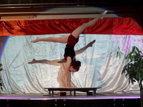 Un joli spectacle de cirque donné au cours des Lauriers du sport 2013
