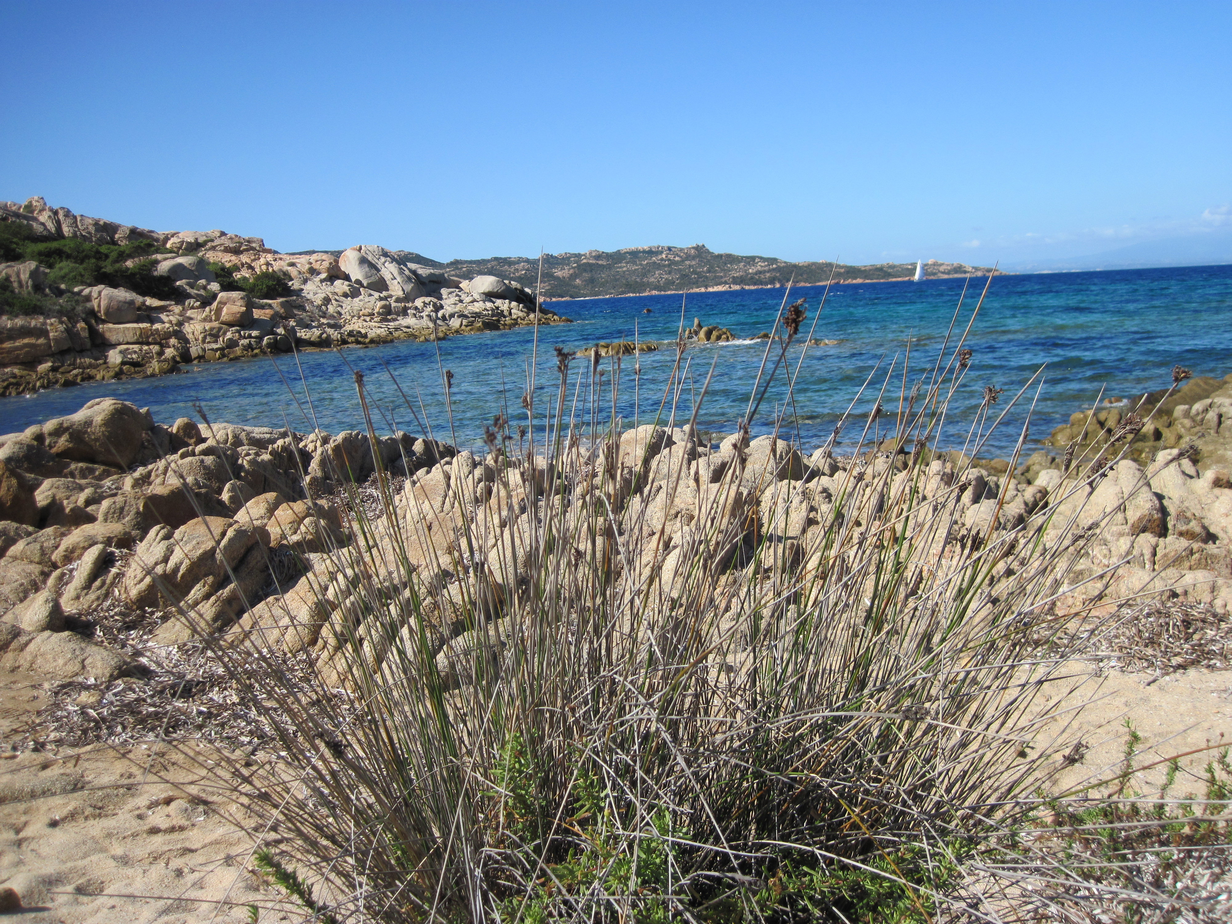Cala Carlotto