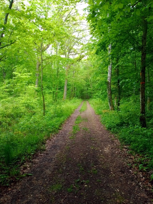 Poudrière de Bois-Sous-Roche