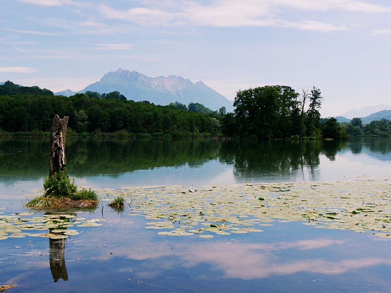 2023.06.18 Lac de Sainte-Hélène (département Savoie)