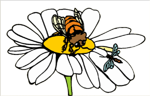 Image clipart abeille
