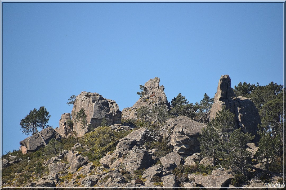 Rochers en forêt de l'Ospedale - Corse