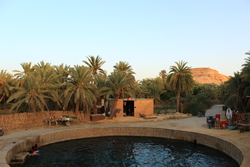 Que voir en Egypte: l'oasis de Siwa