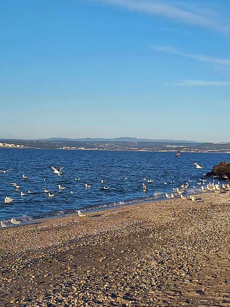 Petite balade pour bien commencer l'année