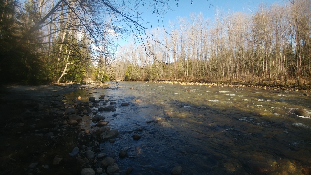 March Break in Vancouver: Fourth Day: Pitt River Pedestrian and Microbrewery Magic