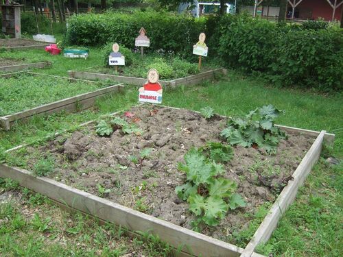 Courrières, à la ferme pédagogique ce matin