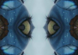 Les yeux d'Avatar