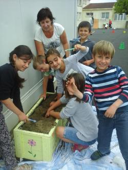 Projet plantations