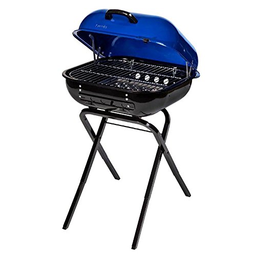 Barbecue Cooking - Buy Electric, Charcoal and Propane Grills At Best Prices
