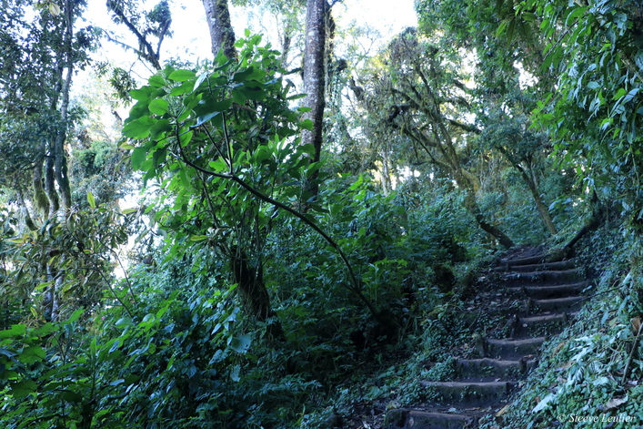 Ascension du volcan San Pedro