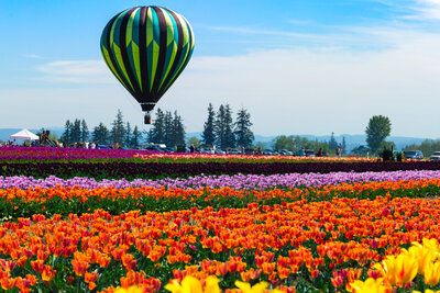 season balloons spring balloons 