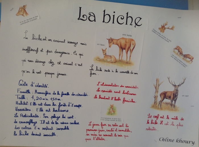 Présenter un animal en langue française.
