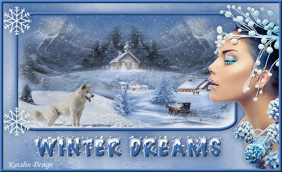 Winter Dreams ~ Téli álmok