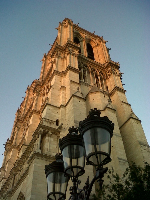 NOTRE-DAME DE PARIS .